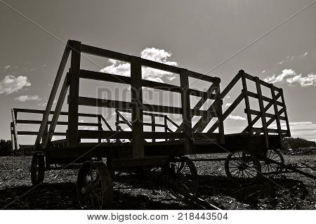 Several old hayracks for hauling wheat and oat bundles with steel wheels silhouetted against the sky. (black and white)