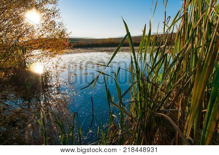 Reflection of the sun in a little pound