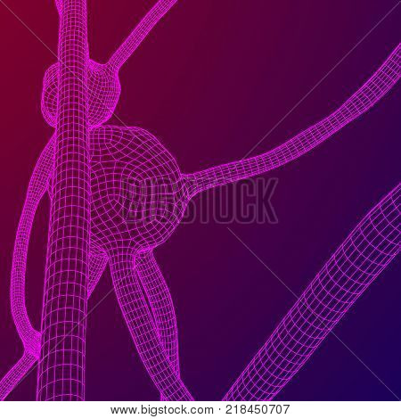 Neuron System Vector Neuron System Vector & Photo (Free Trial) | Bigstock