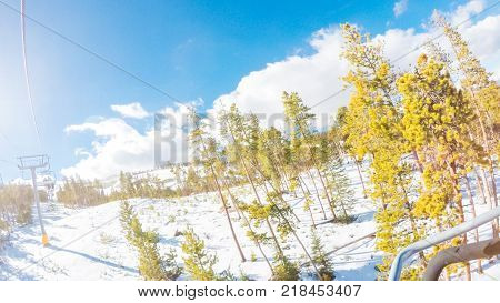 Alpine Skiing