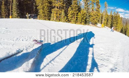 Alpine Skiing