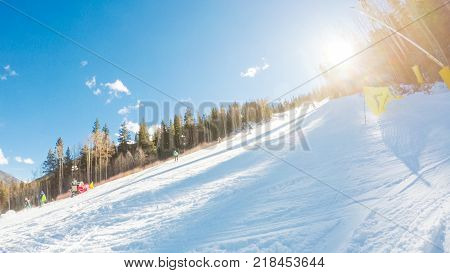 Alpine Skiing