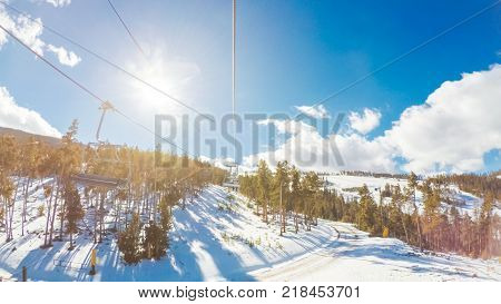 Alpine Skiing