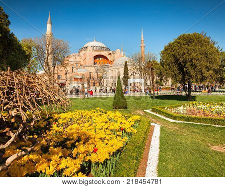 Colorful spring scene in Sultan Ahmet park in Istanbul Turkey Europe. View of Ayasofya Museum (Hagia Sophia). Artistic style post processed photo.