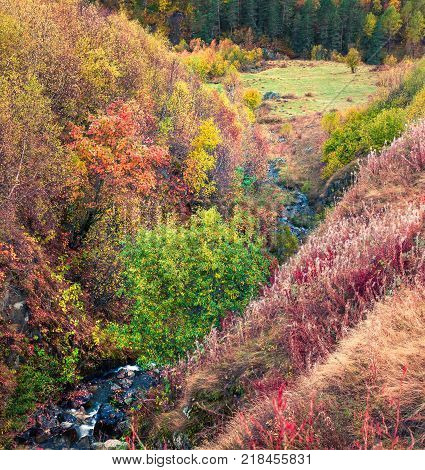 Colorful autumn forest in Caucasus mountains used as background. Beautiful outdor scene in Upper Svaneti Georgia Europe. Artistic style post processed photo.