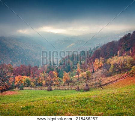 Colorful autumn landscape in the Carpathian mountains. Splendid outdoor scene near the Roztoky village Ukraine Europe. Artistic style post processed photo.
