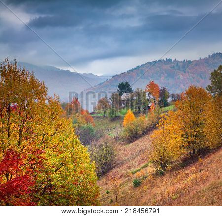 Colorful rural scene in the Kvasy village Transcarpathian Ukraine Europe. Beautiful autumn landscape in the mountains. Artistic style post processed photo.