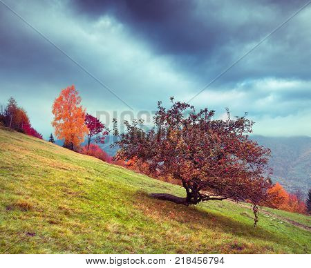 Colorful rural scene in the Kvasy village Transcarpathian Ukraine Europe. Beautiful autumn landscape in the mountains. Retro filtered.