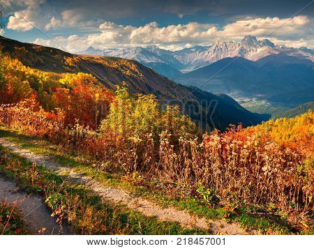 Colorful autumn landscape in the Caucasus mountains. Sunny morning scene with mountain Ushba on the background. Mkheer Svaneti Georgia Europe. Artistic style post processed photo.