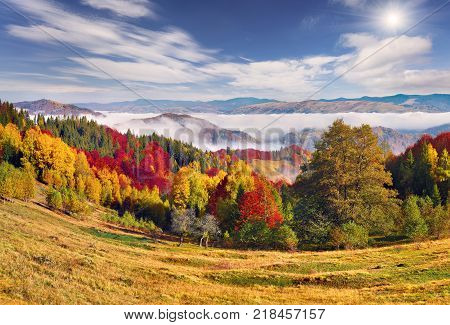 Foggy autumn landscape in Carpathian mountains. Sunny morning on Sokilsky ridge Ukraine Europe. Artistic style post processed photo.