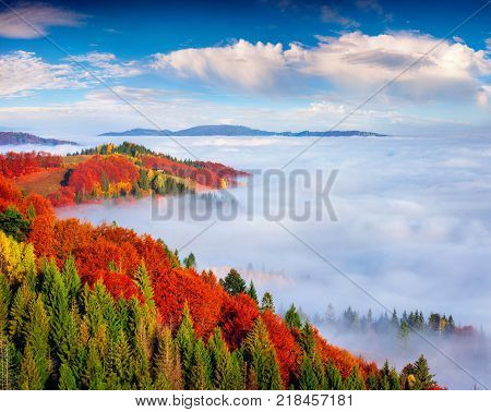 Foggy autumn landscape in Carpathian mountains. Sunny morning on Sokilsky ridge Ukraine Europe. Artistic style post processed photo.