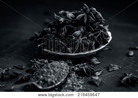 Close Up Of Star Aniseed,illicium Verum In A Plate With Its Powder.