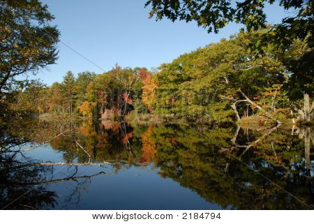 Reflexiones de otoñales