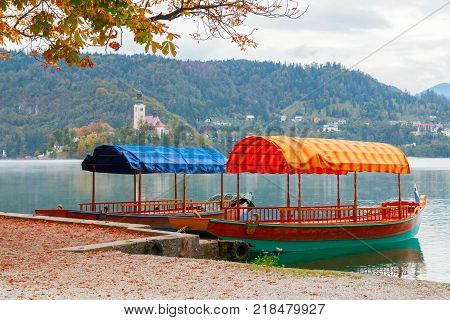 Lake Bled and the island with the church and traditional wooden Pletna at autumn in Slovenia