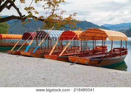 Lake Bled and the island with the church and traditional wooden Pletna at autumn in Slovenia