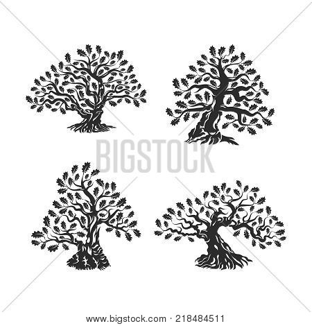 Huge and sacred oak tree silhouette logo isolated on white background. Modern vector national tradition green plant icon sign design set.Premium quality organic bonsai logotype flat illustration.