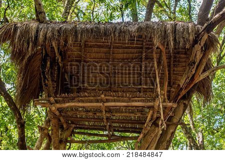 Typical house of vedda people living in Sri Lanka