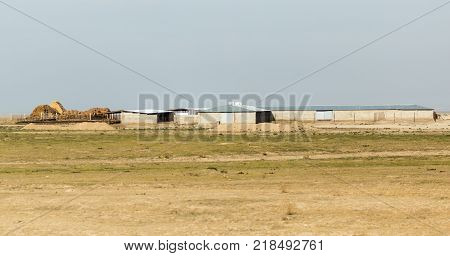 house in the wilderness. Kazakhstan . In the park in nature