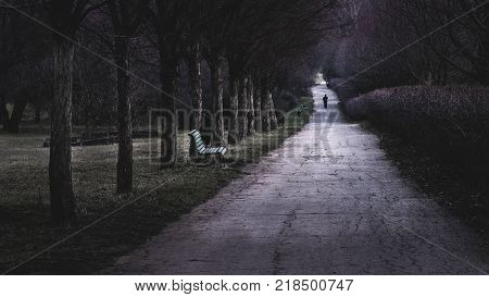 A lonely man passing by an empty bench in a park.