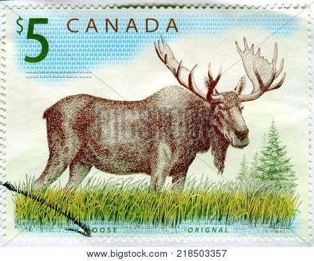 GOMEL, BELARUS, 13 DECEMBER 2017, Stamp printed in Canada shows image of the Moose, circa 2017. 