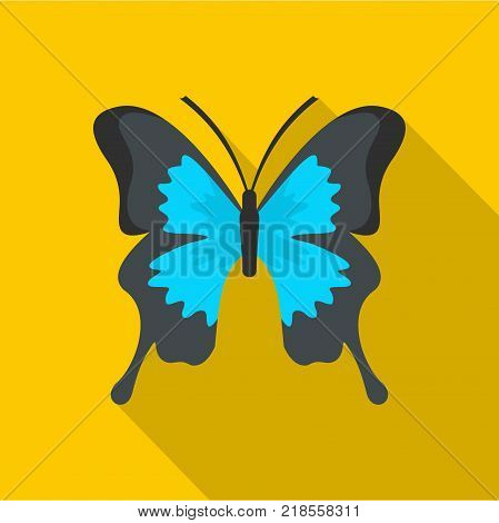 Mahaon icon. Flat illustration of mahaon vector icon for web
