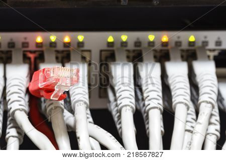 many ethernet cables connected to switch close up