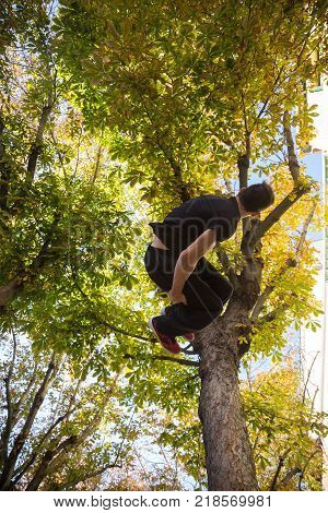 Young man doing a side flip or somersault while practicing parkour on the street with a tree in the background.