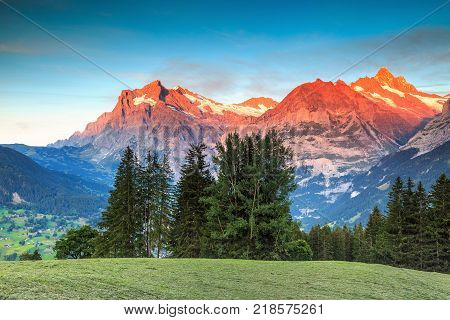 Stunning alpine landscape and magical sunset with Wetterhorn peak in background, Grindelwald, Bernese Oberland, Switzerland, Europe
