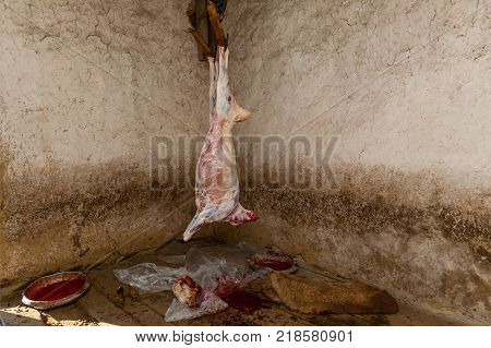 In a village killed a ram on a holiday the farmer removes the skin from the ram. Fresh carcass of sheep.