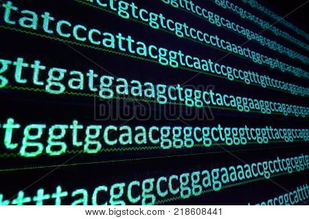 Sequencing the genome. Sequence of nucleotide bases in DNA.