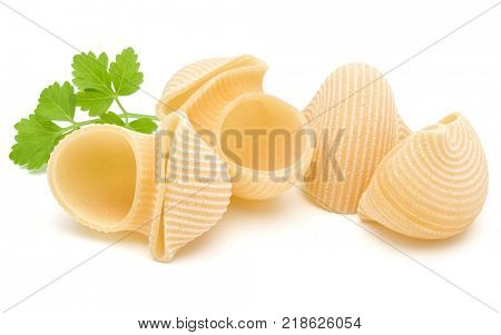 Italian lumaconi isolated on white background. Lumache, snailshell shaped pasta.