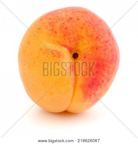 One apricot isolated on white background cutout