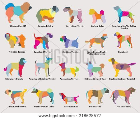 Vector set of colorful mosaic isolated different breeds dogs silhouettes on grey background. Part 5