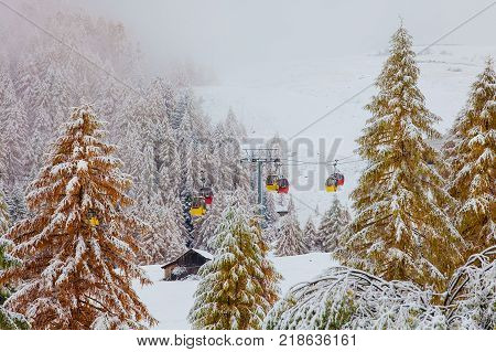 Snowy trees and colorful rail car Dolomites Italy