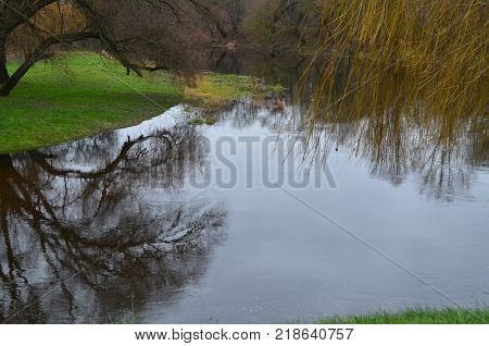 A calm river in late autumn with a green lawn and willow branches