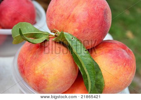 Un paio di pesche fresche