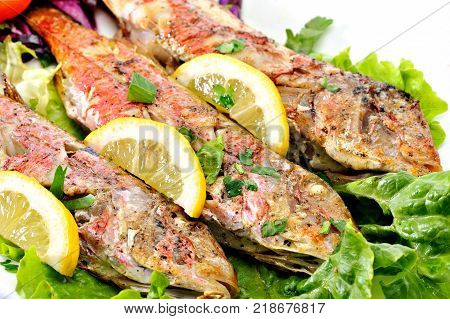 Grilled red fish with lettuce and lemon