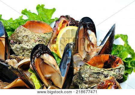 Mussels and shells seafood with lettuce and lemon