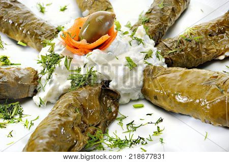 Greek Sarmadakia with tzatziki sauce and olive