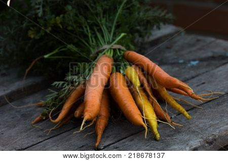 Fresh clean carrots on a  wooden table. Background of fresh vegetables top view. Fresh bunch of carrots on white background.
