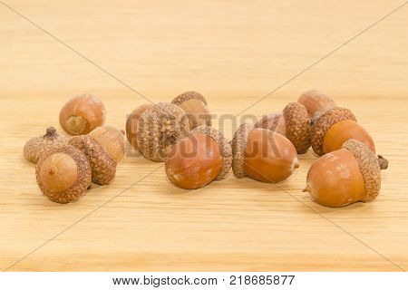 Ripe acorns some of which in their cuplike cupules on a surface of oak planks closeup