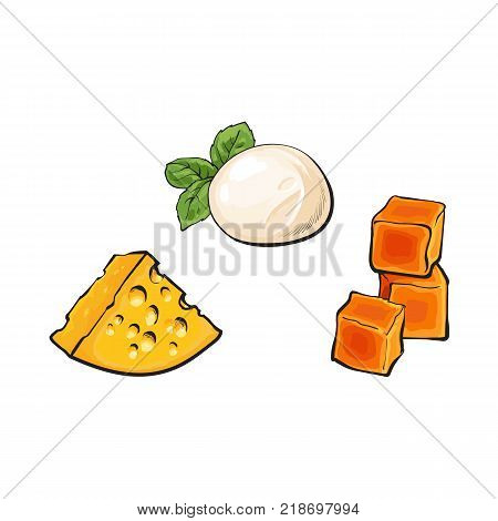vector sketch wedge of soft italian buffalo mozzarella with basil leaf, cubics of hard cheddar and emmental cheese with holes set for your design. Isolated illustration on a white background.
