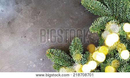 Christmas background with efresh vergreen tree banches close up on gray banner