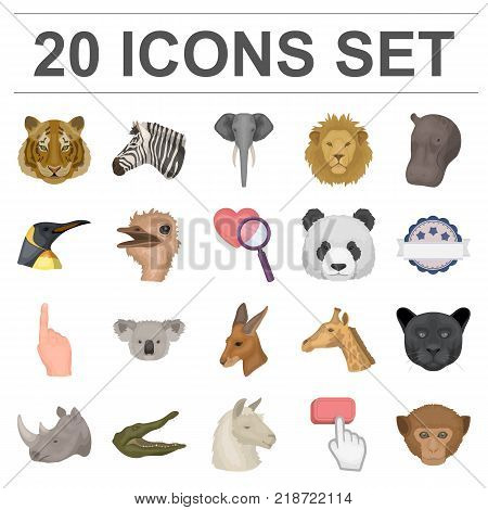 Wild animal cartoon icons in set collection for design. Mammal and bird vector symbol stock  illustration.