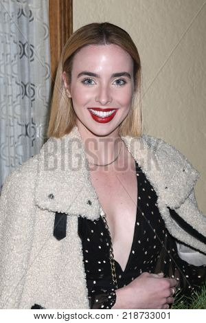 LOS ANGELES - DEC 16:  Ashleigh Brewer at the Heather Tom, James Achor, Zane Achor Christmas Party at their private residence on December 16, 2017 in Glendale, CA