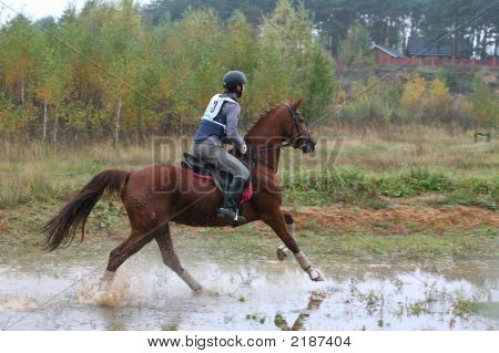 El jinete en el caballo salta en un pantano