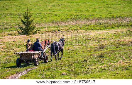 Pylypets Ukraine - May 01 2017: traffic in mountainous rural area in summer. wooden cart with two horses and two men ridge uphill the grassy