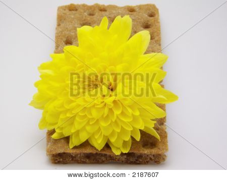 クリスプブレッドと黄の花