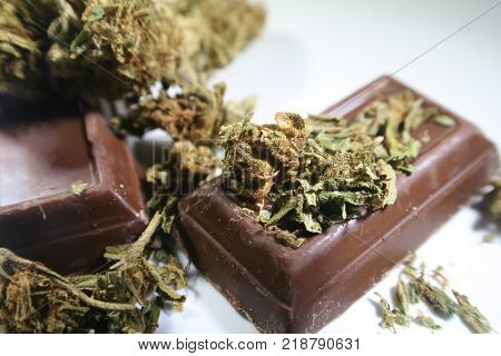 Marijuana Bud On Chocolate High Quality Stock Photo