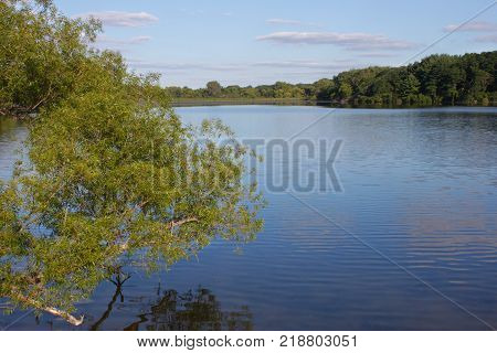 View of Pierce Lake at Rock Cut State Park in northern Illinois